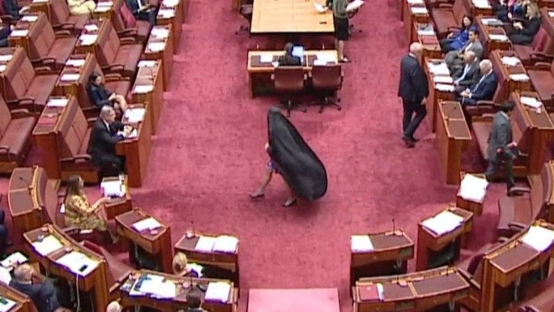 Pauline Hanson condemned for senate burqa stunt