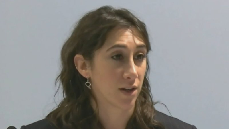Prominent Jewish human rights lawyer takes to the stand at royal commission