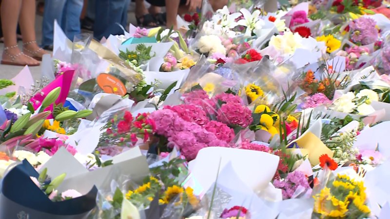 NSW announces gun buyback scheme