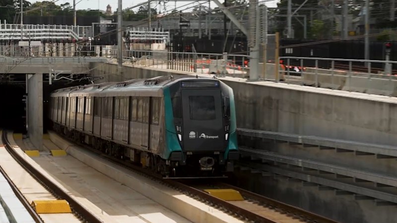 Call for free public transport amid petrol crisis