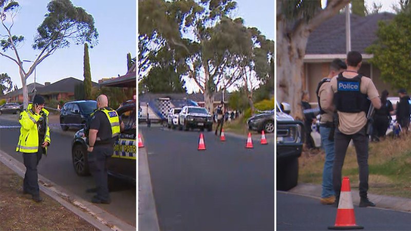 Man shot by police after alleged domestic violence stabbing in Melbourne