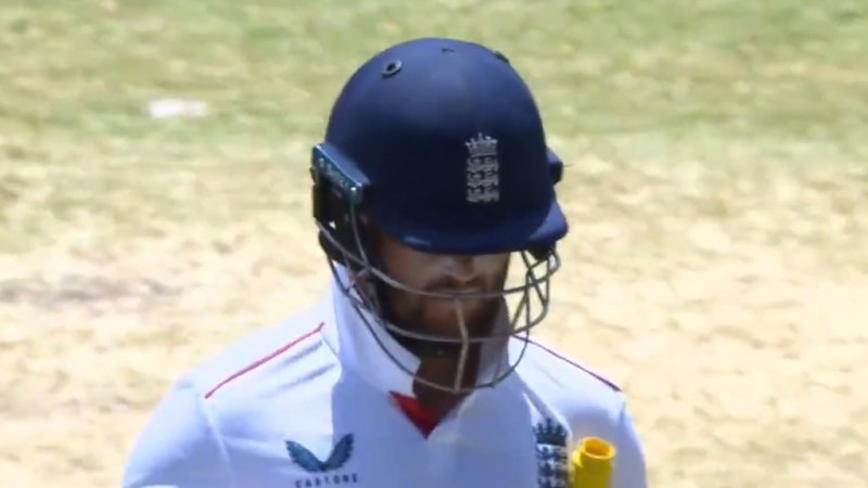 England reeling from Duckett's horror shot