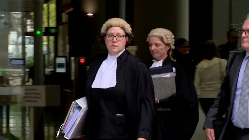 Teen Accused of Peter Dutton Terror Plot Possessed Bomb Manual, Court Hears