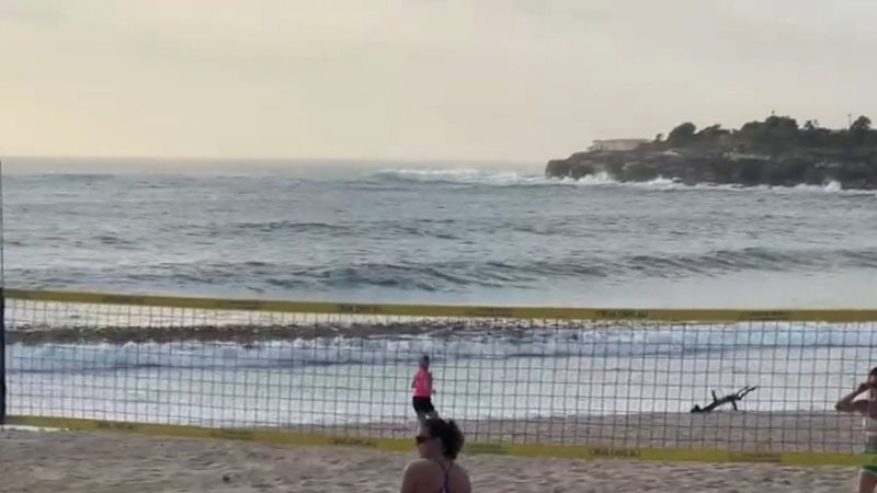 Shark alarm sounds at Coogee, Sydney