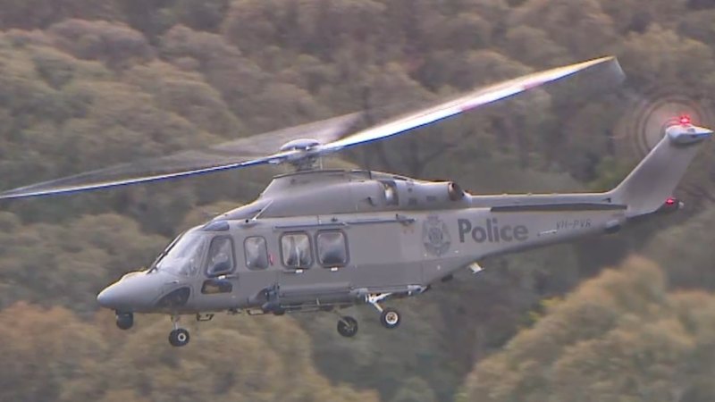 Dezi Freeman’s wife won’t be charged over hunt for accused killer