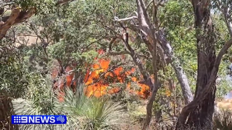 Three structures destroyed in SA bushfire