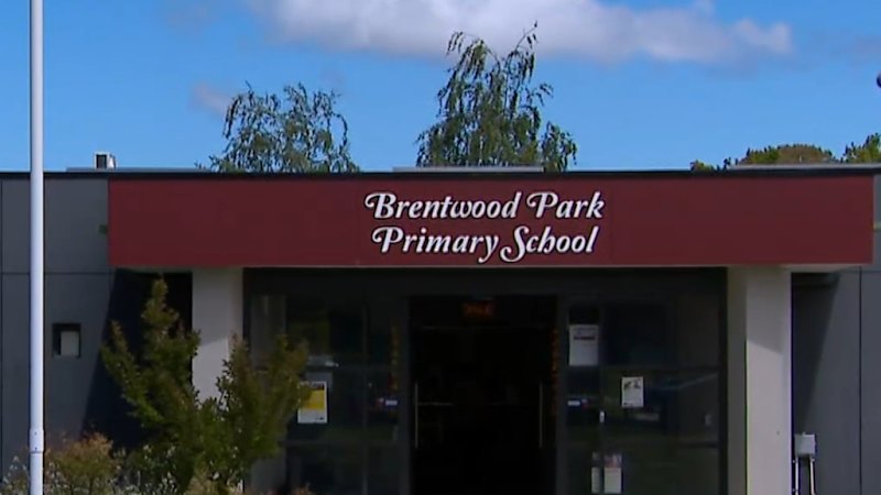 Young boy stabbed at primary school