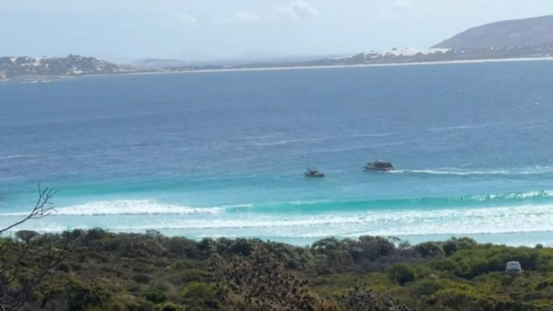 Hunt for missing surfer after shark attack