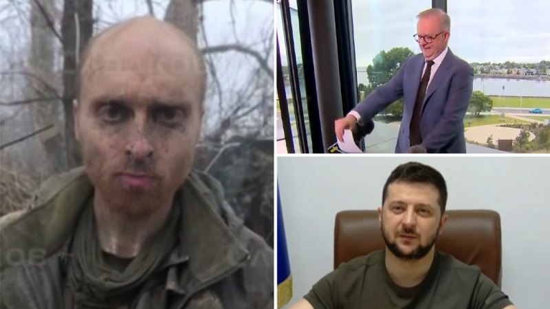 Albanese and Zelenskyy discuss Oscar Jenkins’ welfare during phone call