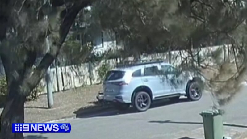 Thieves dump stolen ute with baby inside on roadside