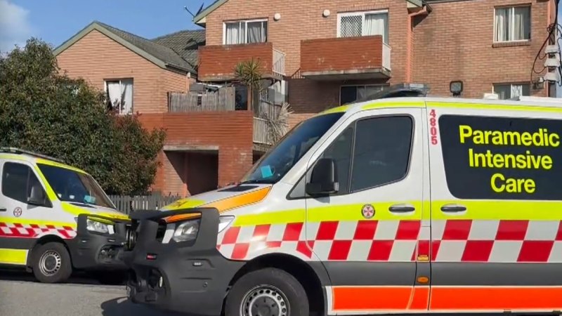 Man shot by police after allegedly wielding a meat cleaver at NSW unit block