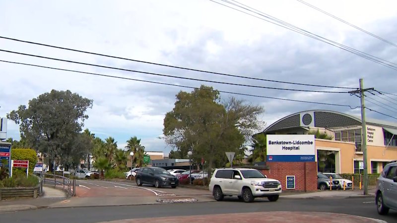 Search continues for convicted rapist in Sydney’s south-west