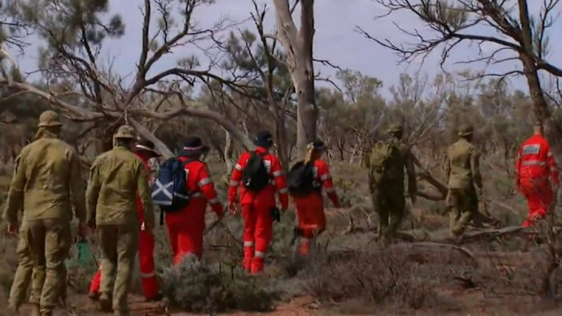 Search resumes for missing boy Gus Lamont