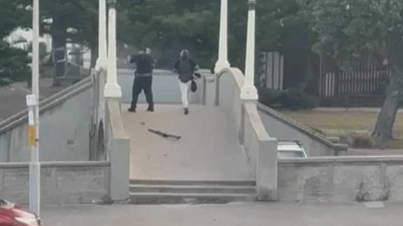 At least 12 people killed in Bondi Beach shooting