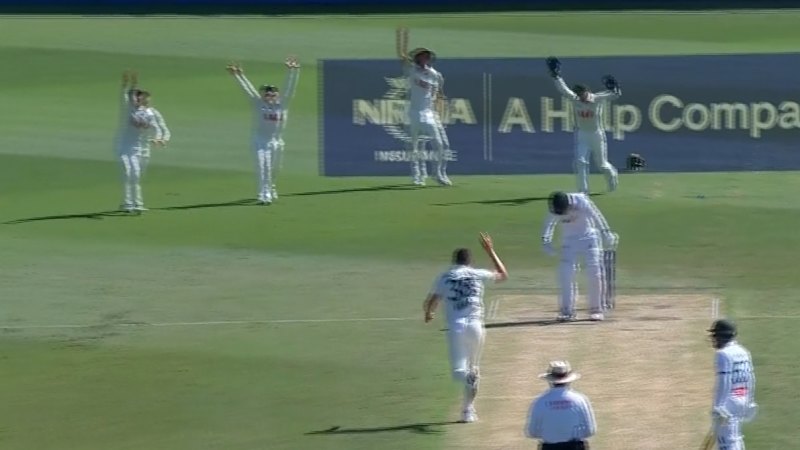 Josh Hazlewood dismisses Hasan Mahmud as Australia make a breakthrough
