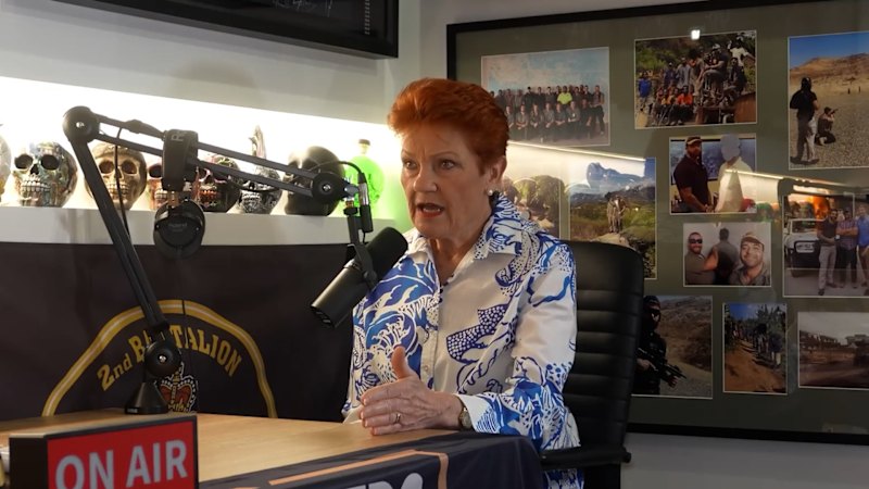 'Cash cow': Pauline Hanson on newly surfaced podcast