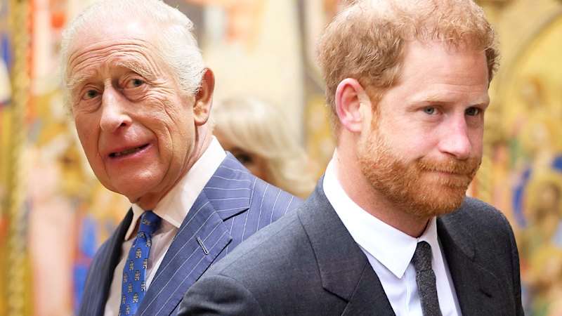 King Charles and Prince Harry royal reunion reports