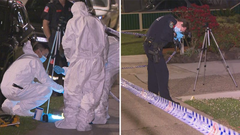 Man charged with murder after allegedly stabbing his mother in Sydney's south-west