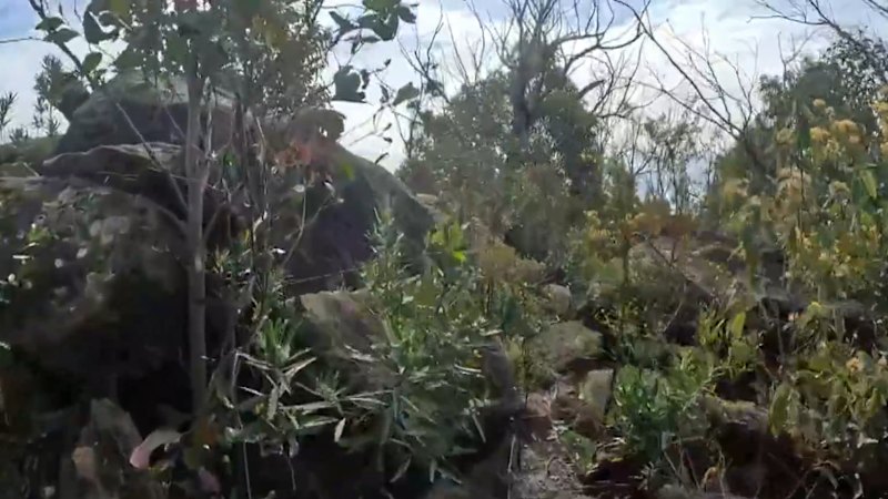 Search for missing hiker continues