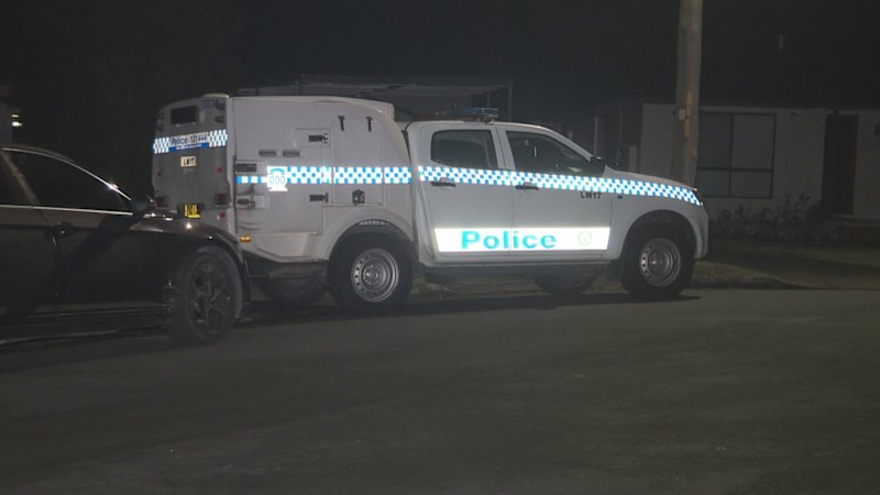 Teenage girl arrested over fatal stabbing