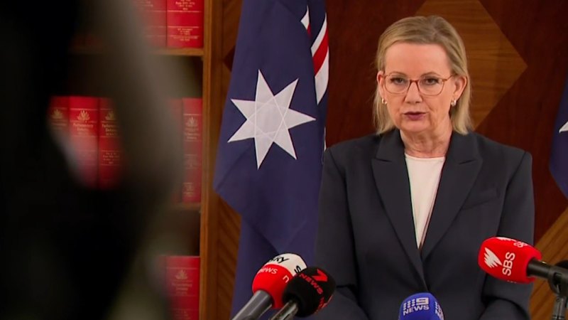 'Death knell' looming for Ley after Coalition split