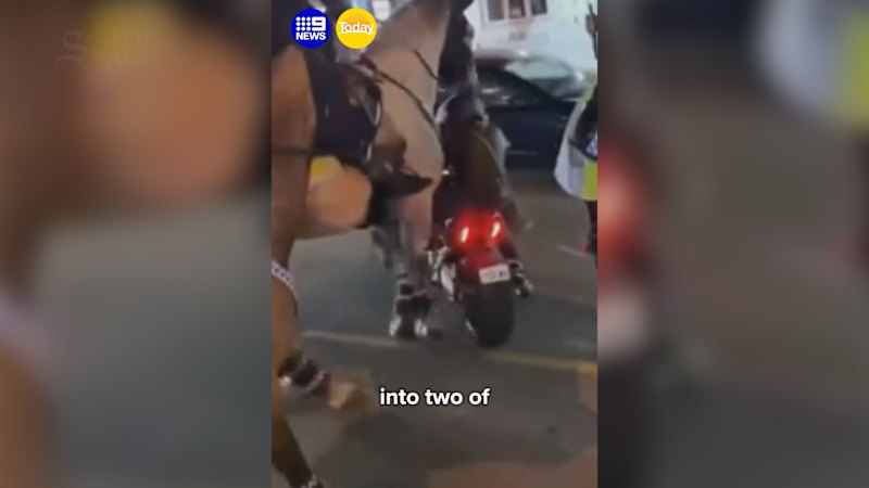 Motorbike rider allegedly strikes police horse while under the influence