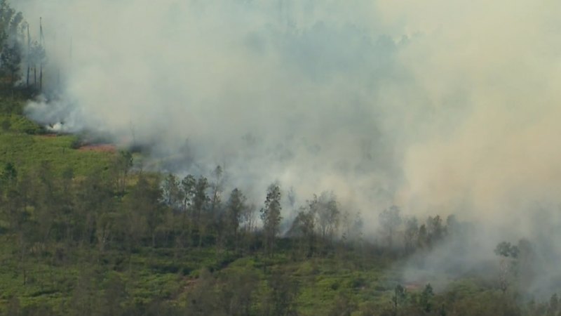 Tributes for Sydney grandfather after plane crash