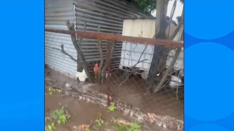 Queensland lashed with hail during record rain and storms
