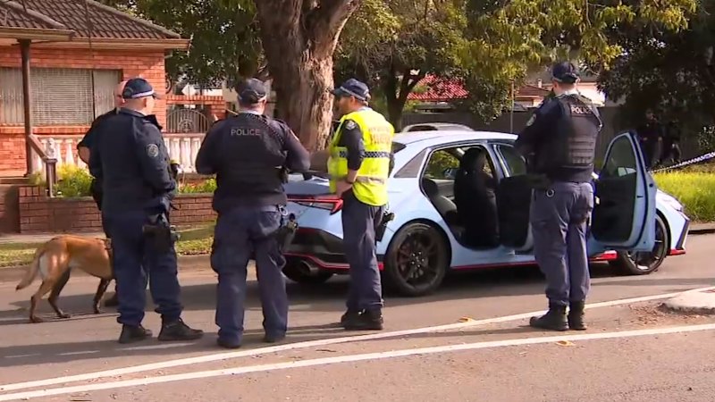 Alleged Alameddine associate believed to be target of Sydney shooting