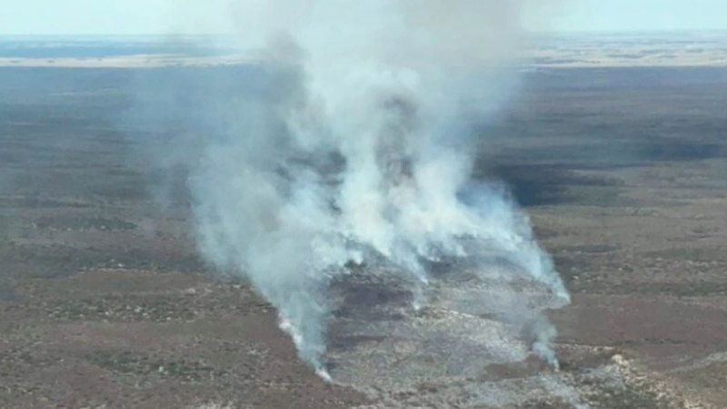 Widespread power outages as heatwave smothers SA