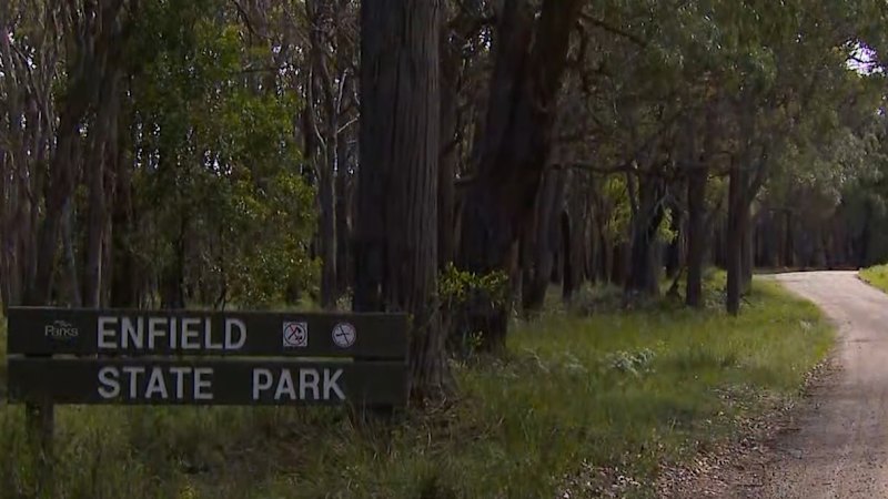 Policija ponovno išče sledi Samanthe Murphy v državnem parku Enfield