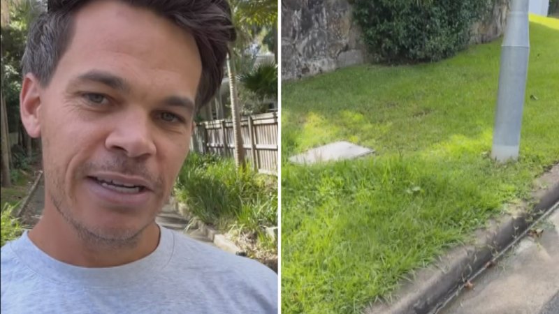 Neighbour lawn mowing battle