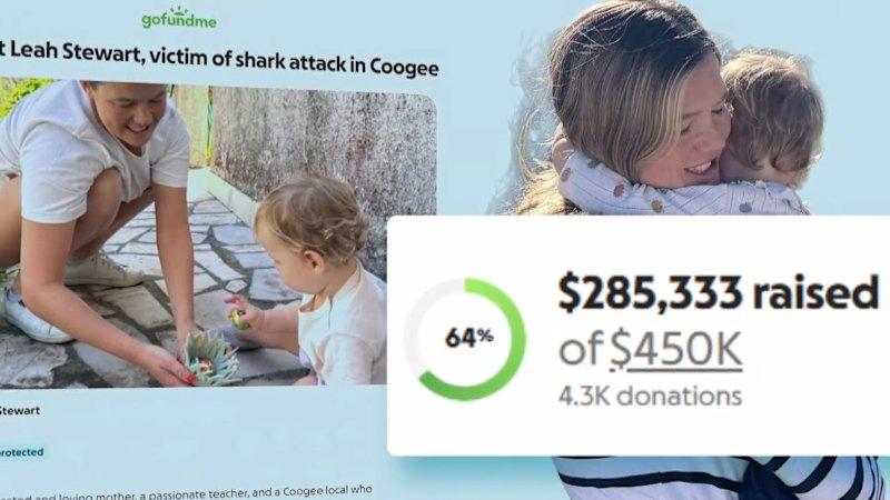 Donations pour in for shark attack victim