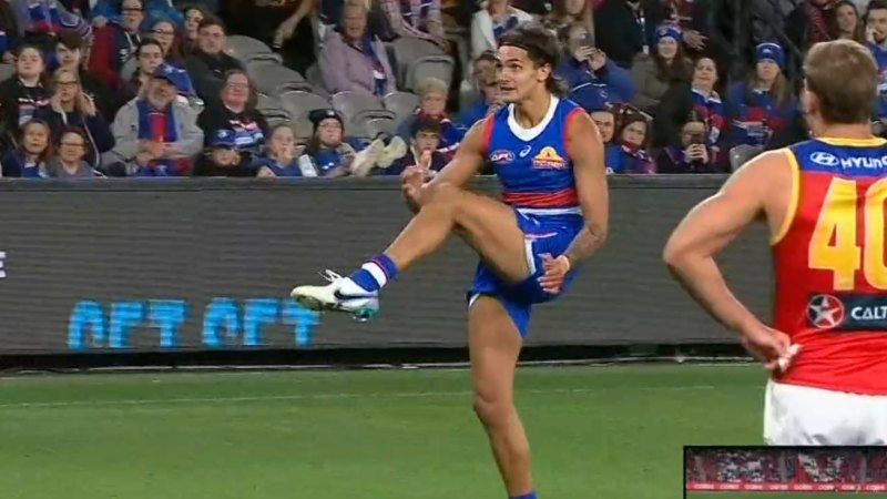 Dogs coy on youngster’s future