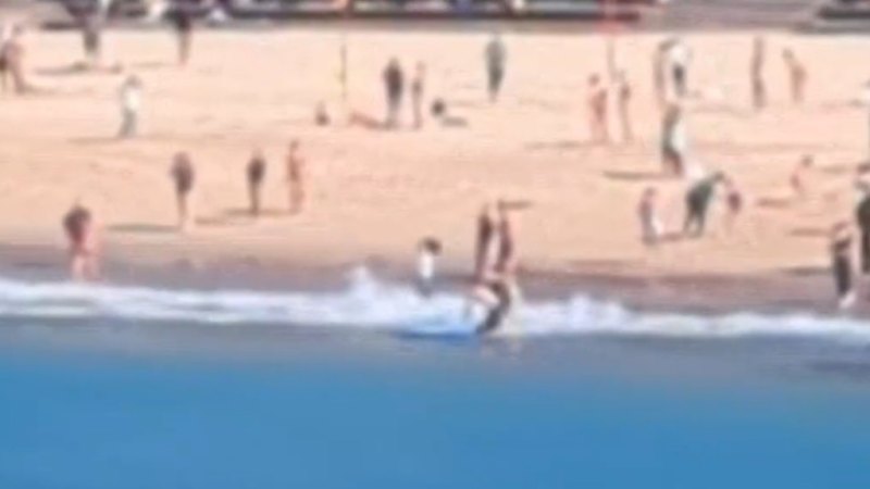 Sydney beaches closed after horror shark attack