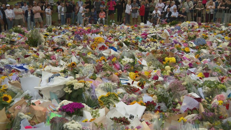 Families of Bondi victims call for royal commission