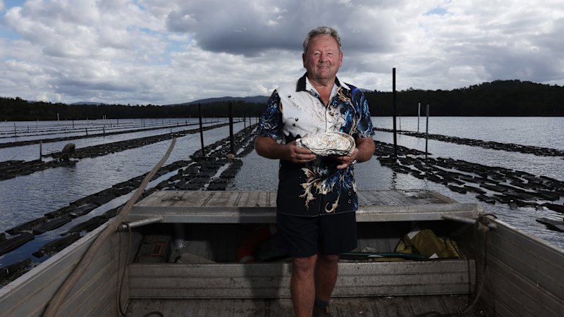 All's fair in love and giant oysters