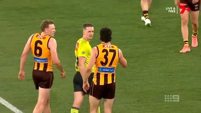 Hawks players face scrutiny after umpire discussion following Lions loss