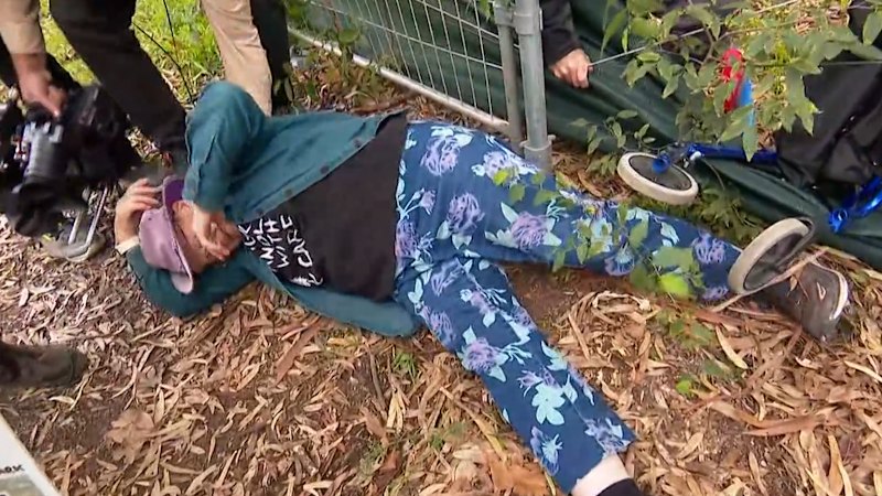 Chaos at Adelaide golf course as last of 800 trees chopped down