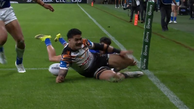 'Sloppy' Dogs error gifts Tigers first point