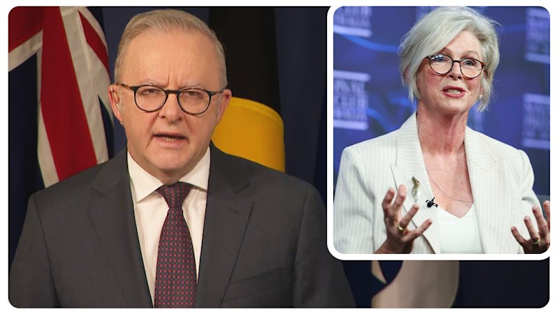 Anthony Albanese provides update on Helen Haines