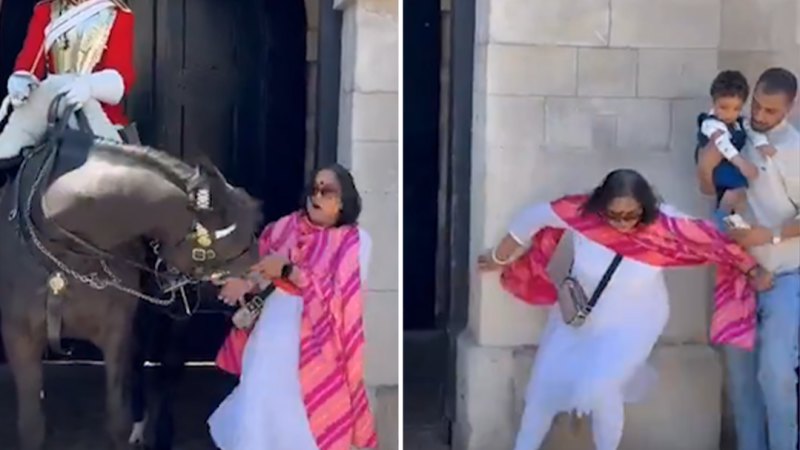 King's Guard horse bites tourist