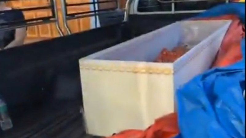 Thai woman found alive in coffin at crematorium