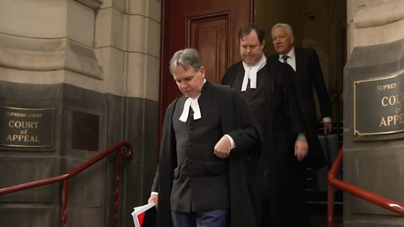 Former pilot Greg Lynn has conviction set aside, retrial ordered over deaths of Carol Clay and Russe