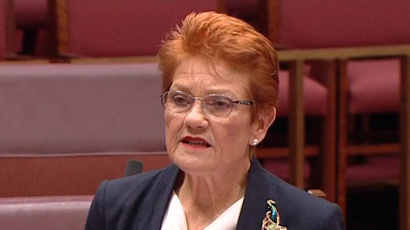 Pauline Hanson tells opposition leader she isn’t the enemy