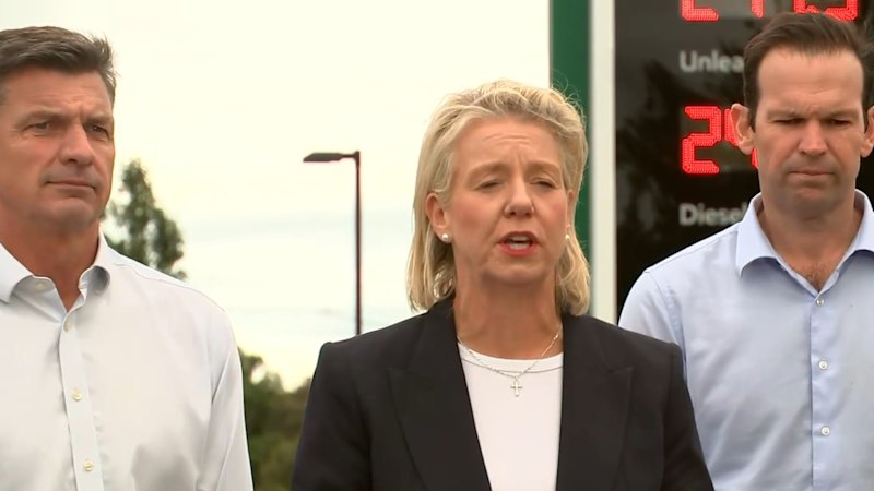 Opposition pushes to halve fuel tax temporarily