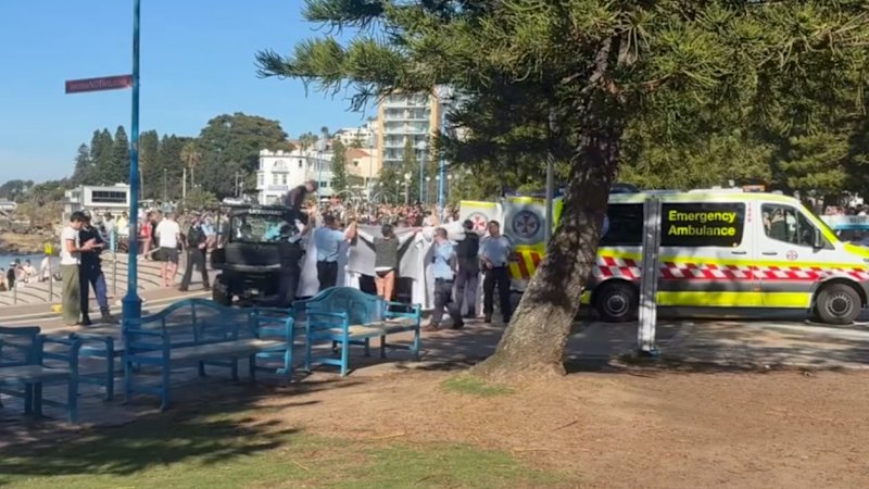 Woman attacked by shark at Sydney beach