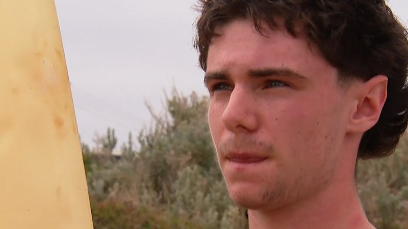 Shark knocks surfer from board