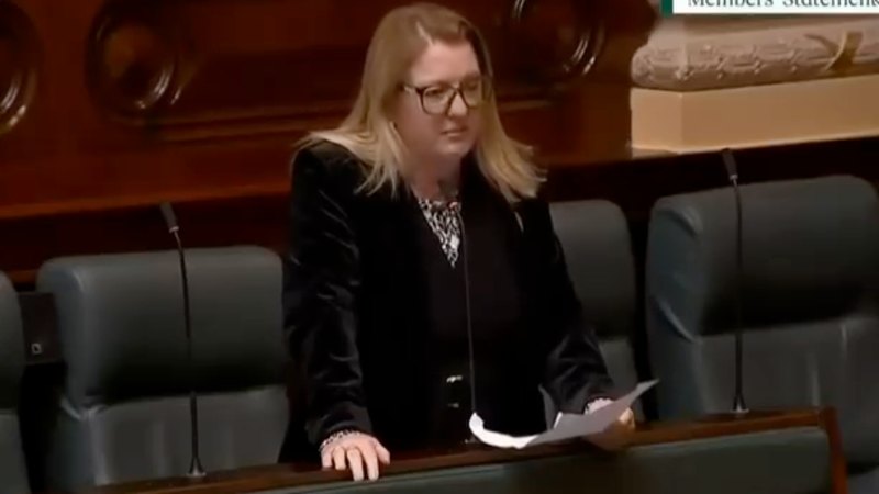 Labor MP's "Fake Aboriginal" claim