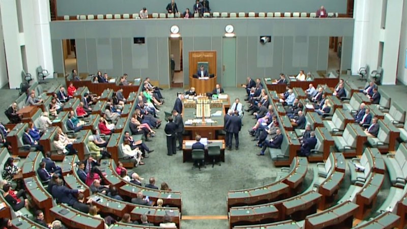 Coalition appears set to oppose hate speech laws